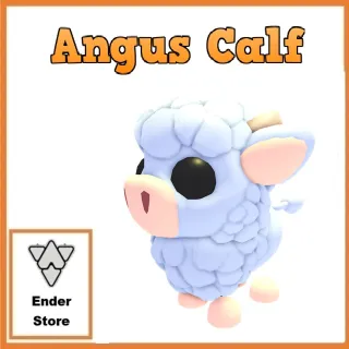 angus calf