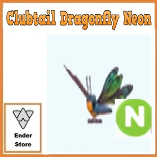 Clubtail Dragonfly Neon