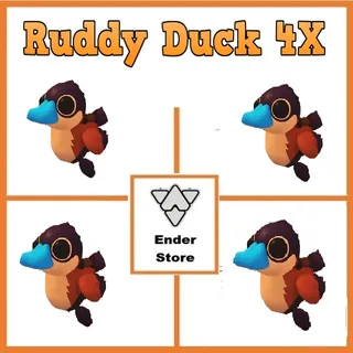 Ruddy Duck