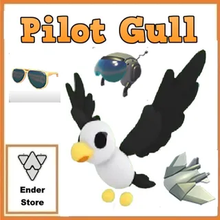 Pilot Gull