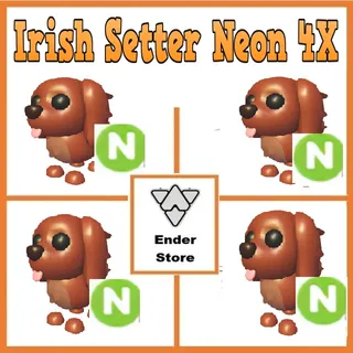 Irish Setter Neon