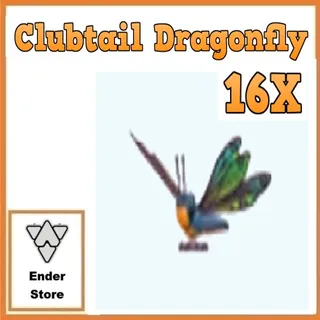 Clubtail Dragonfly 16X