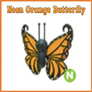 Pet | Neon Orange Butterfly