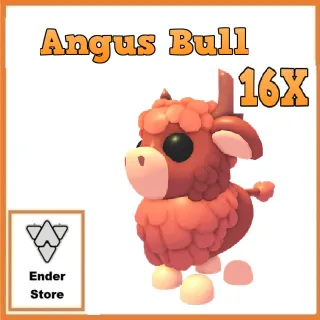 Angus Bull
