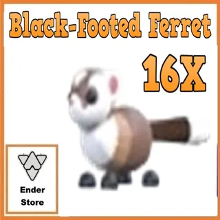 Black-Footed Ferret