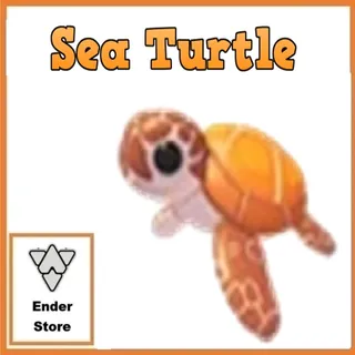 Sea Turtle