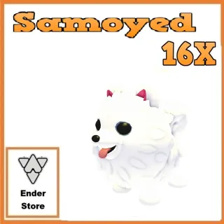 Samoyed