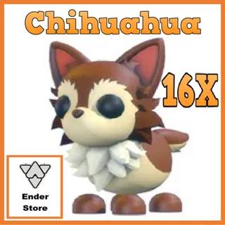 Chihuahua