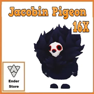 Jacobin Pigeon