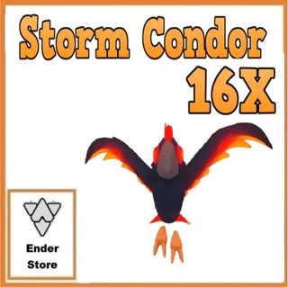 Storm Condor