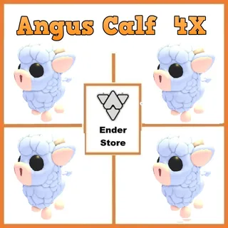 angus calf