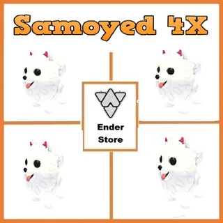 Samoyed