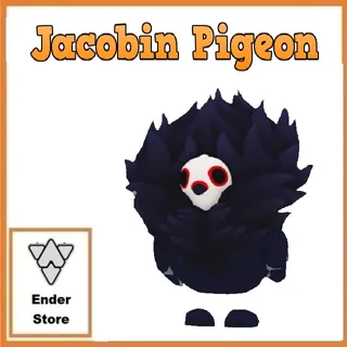 Jacobin Pigeon