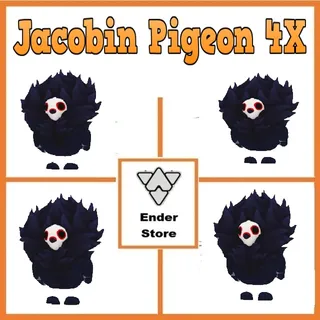 Jacobin Pigeon