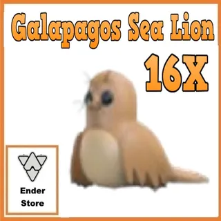 Galapagos Sea Lion