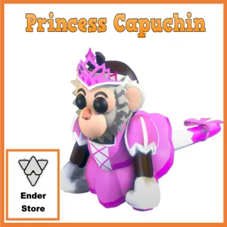 Princess Capuchin Monkey