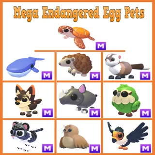 Mega Sea Turtle Whale Endangered Egg