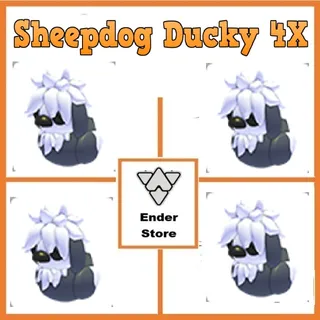 Sheepdog Ducky