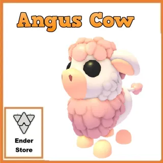 angus cow