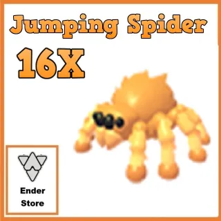 jumping spider