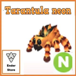 Tarantula neon