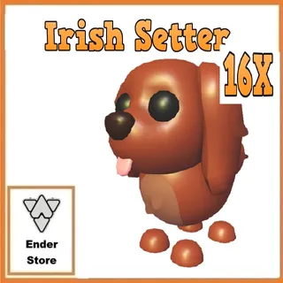 Irish Setter