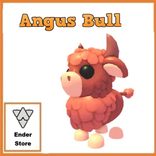 Angus Bull