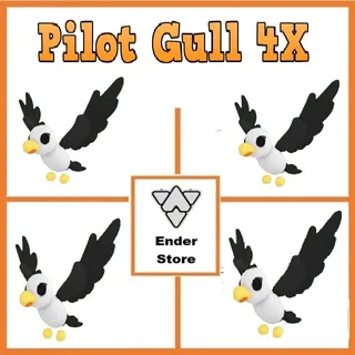 Pilot Gull  