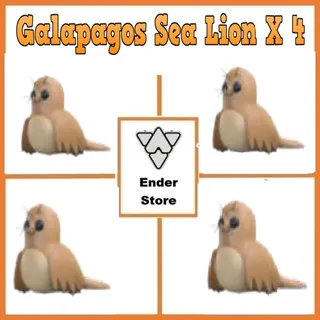 Galapagos Sea Lion