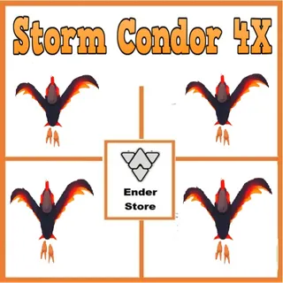 Storm Condor