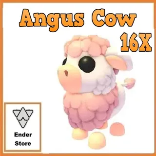 Angus Cow