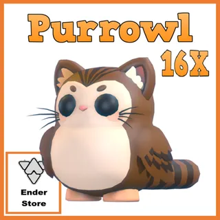 Purrowl 16X