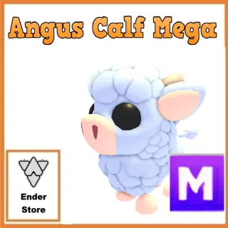 angus calf mega