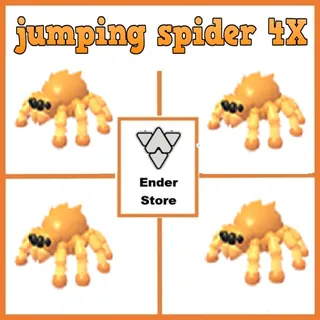 jumping spider