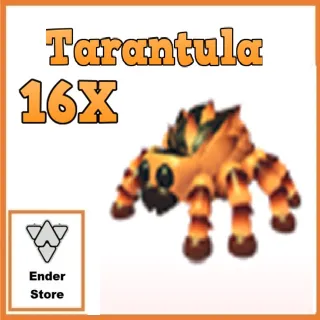 Tarantula