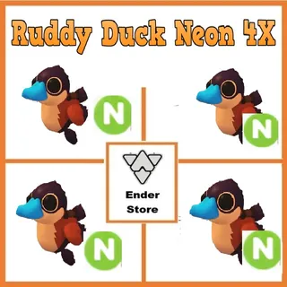 Ruddy Duck Neon