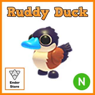 Ruddy Duck Neon