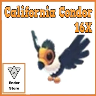 California Condor