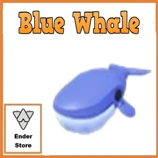 Blue Whale