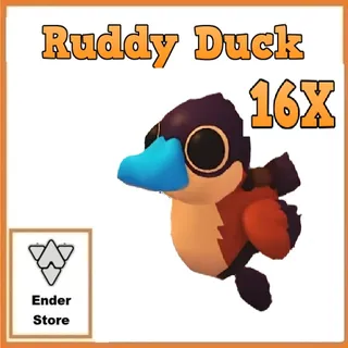 Ruddy Duck