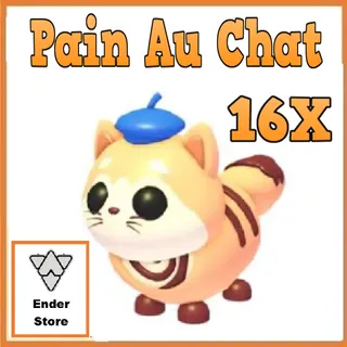 Pain Au Chat 16X