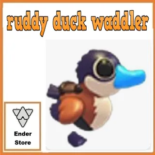 ruddy duck waddler
