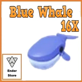 Blue Whale