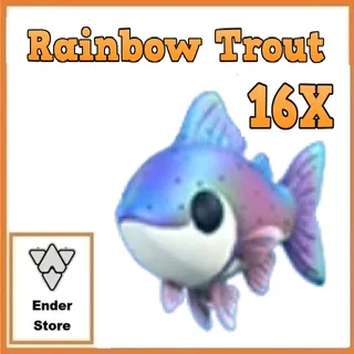 Rainbow Trout 16X