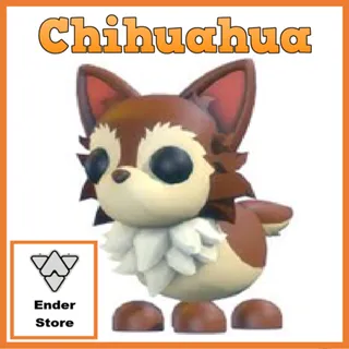 Chihuahua