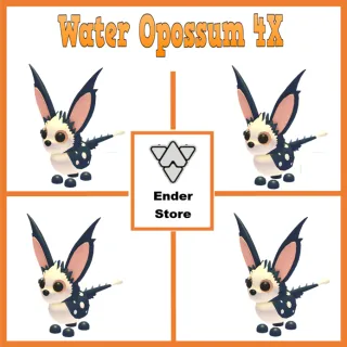 Water Opossum