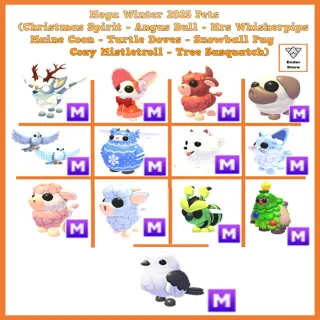 Mega Spirit Whiskerpips Maine Snowball Angus 