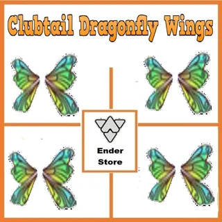 Clubtail Dragonfly Wings