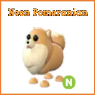 Pet | Neon Pomeranian