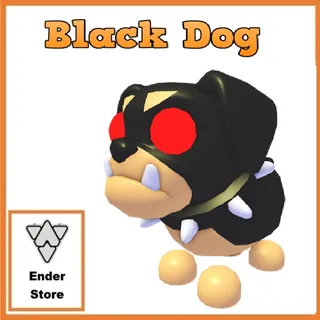 Black Dog